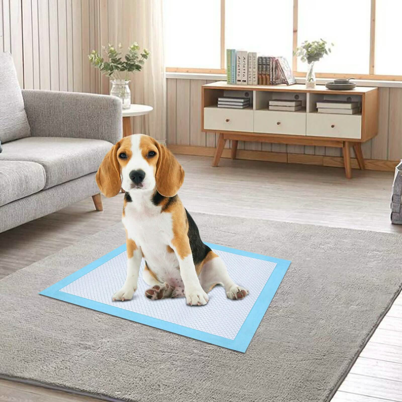 30-Piece: Ownpets Pet Dog Training Pads