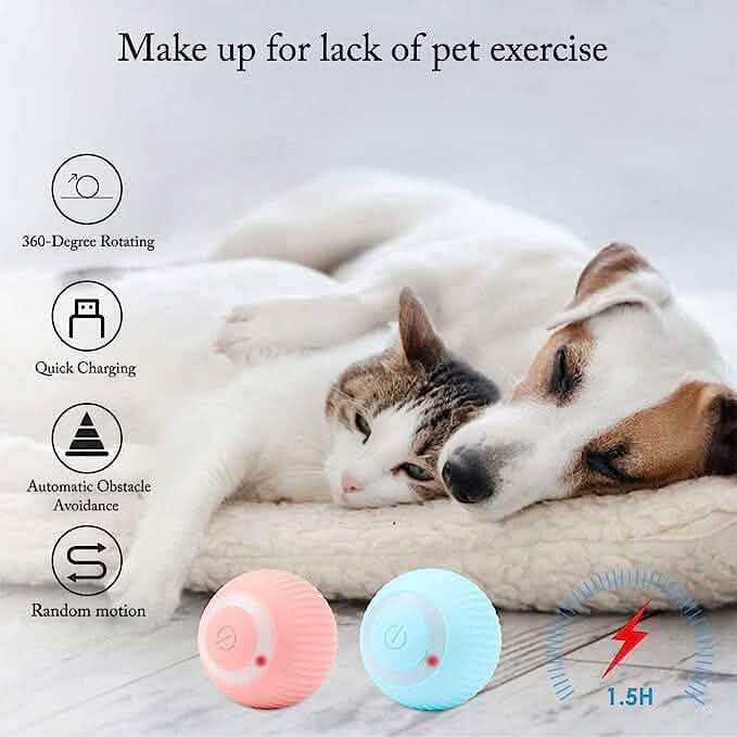 Found Notice Smart Interactive Cat Toy